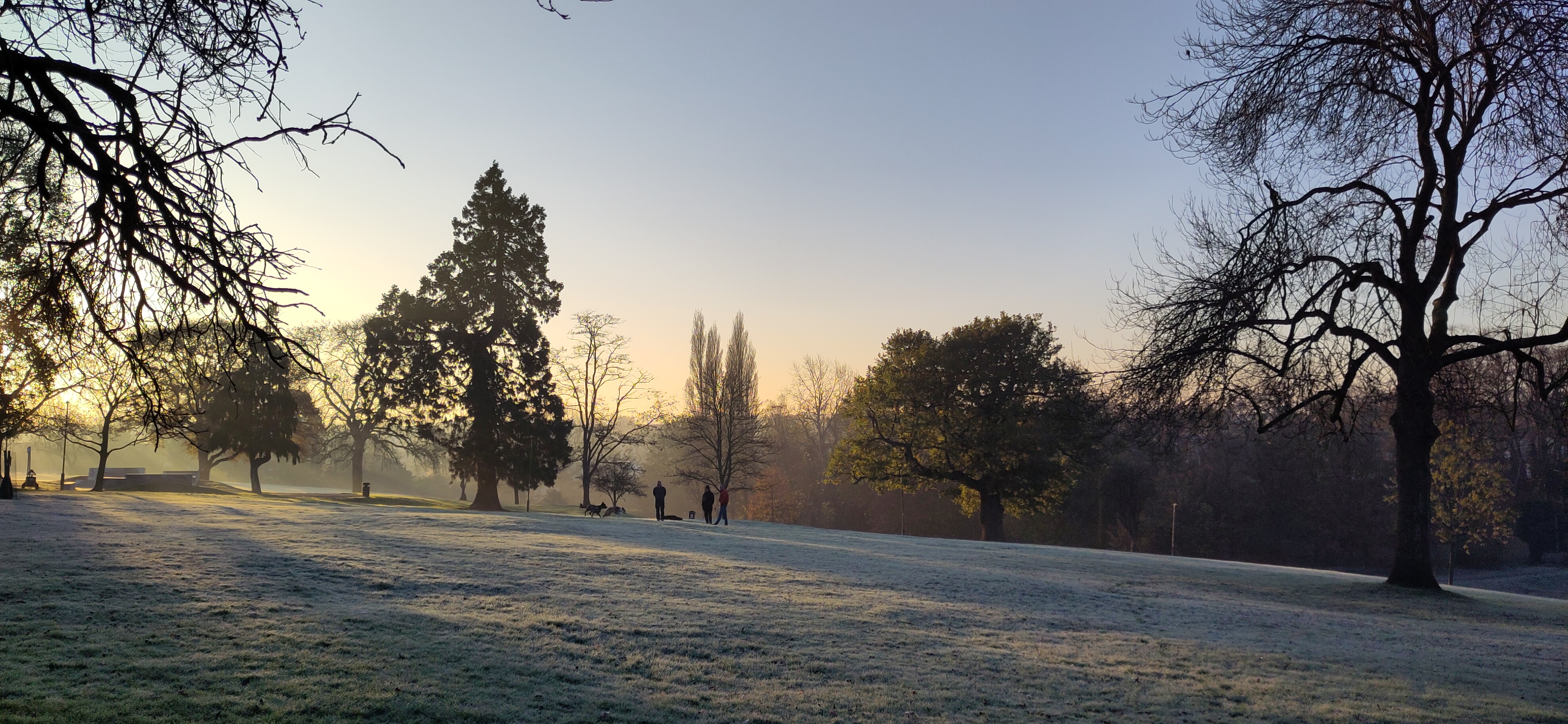 London park during a winter outdoor career coaching walk