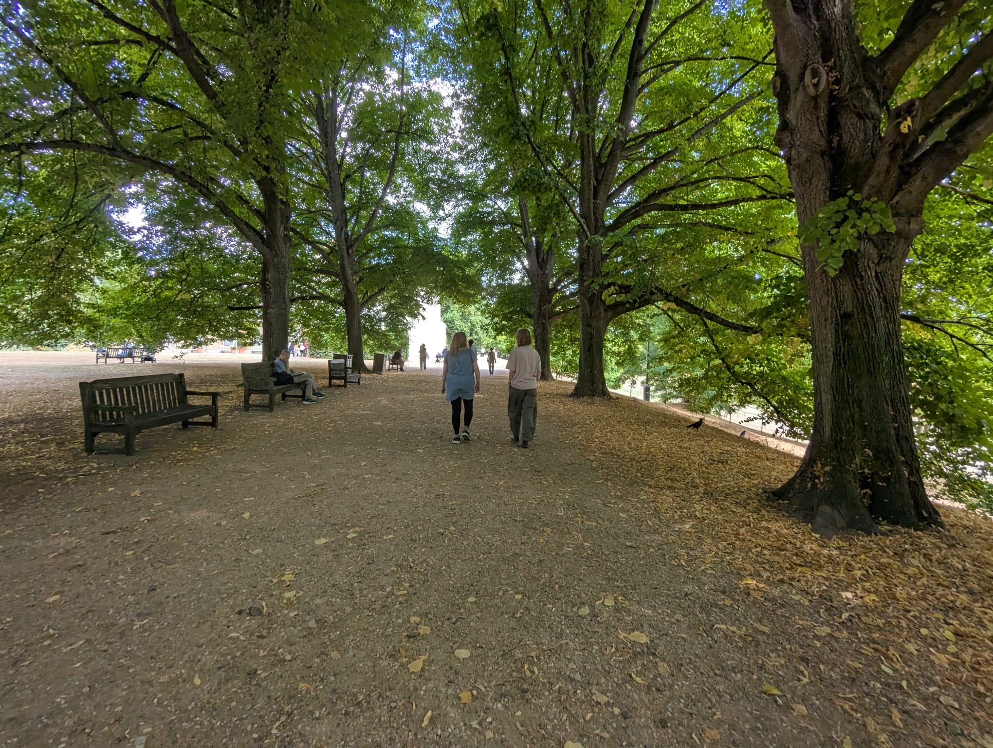Outdoor 1:1 career coaching session in a London green space